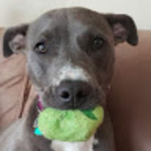 Meet your Posher, Patricia